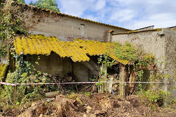 Abri en ruine - toit recouvert de mousse